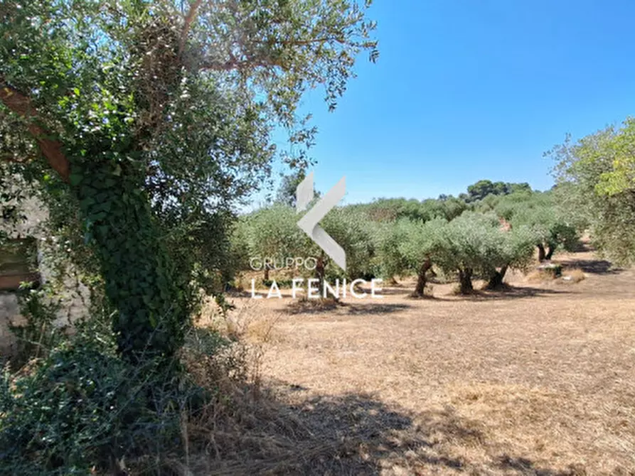 Immagine 27 di Rustico / casale in vendita  in contrada sisto a Locorotondo