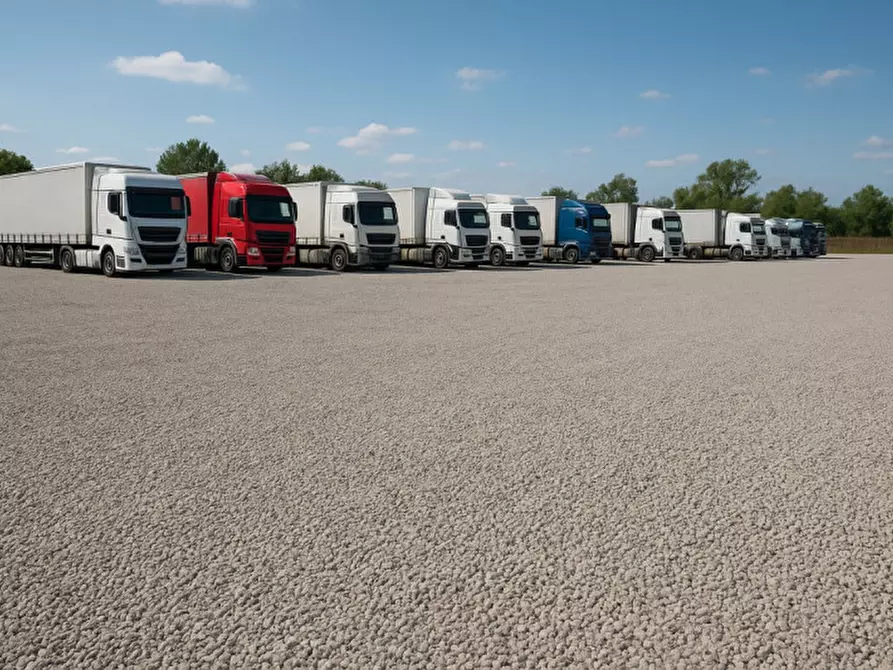 Immagine 4 di Capannone industriale in vendita  in VIA PROVINCIALE 2 a Campo San Martino