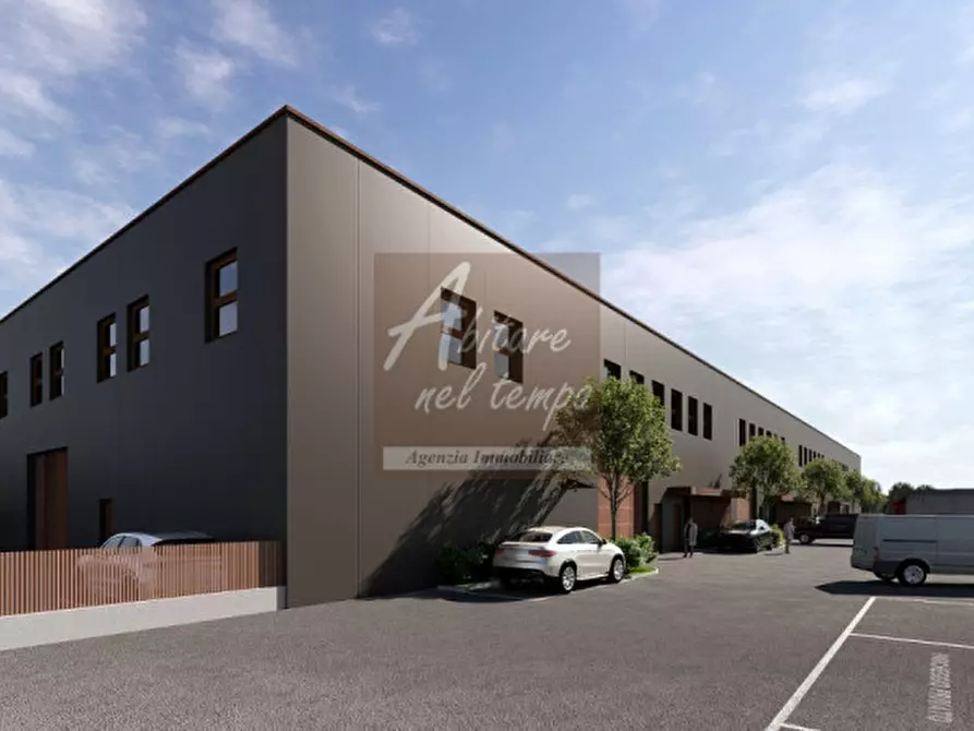 Immagine 5 di Capannone industriale in vendita  in VIA PROVINCIALE 2 a Campo San Martino