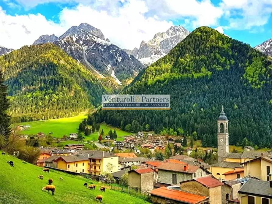 appartamento in vendita a Schilpario in zona Barzesto