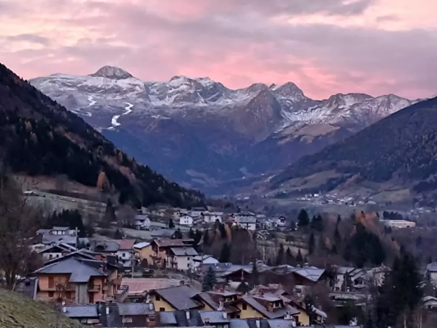 Immagine 10 di Palazzo in vendita  in Via Scalina a Schilpario