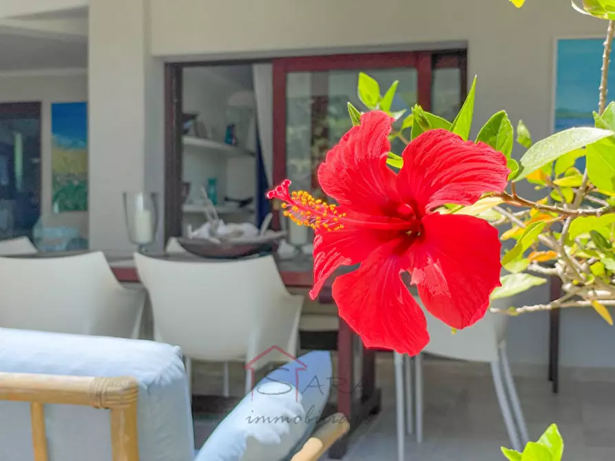 Immagine 27 di Villa in affitto  in Portobello a Aglientu