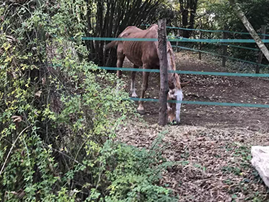 Immagine 53 di Multiproprietà in vendita  in Via Traversa Capitello 28-30 a Concamarise