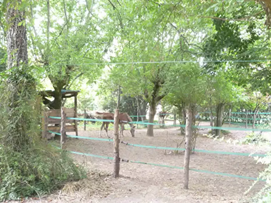 Immagine 54 di Multiproprietà in vendita  in Via Traversa Capitello 28-30 a Concamarise