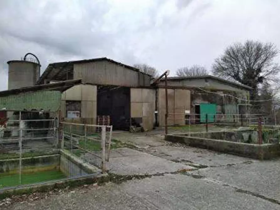 Immagine 7 di Attività commerciale in vendita  in Via Palù, 49 a Cordignano