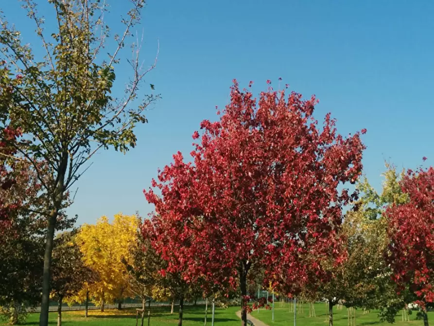 Immagine 6 di Appartamento in vendita  in Viale San Gimignano 9 a Milano