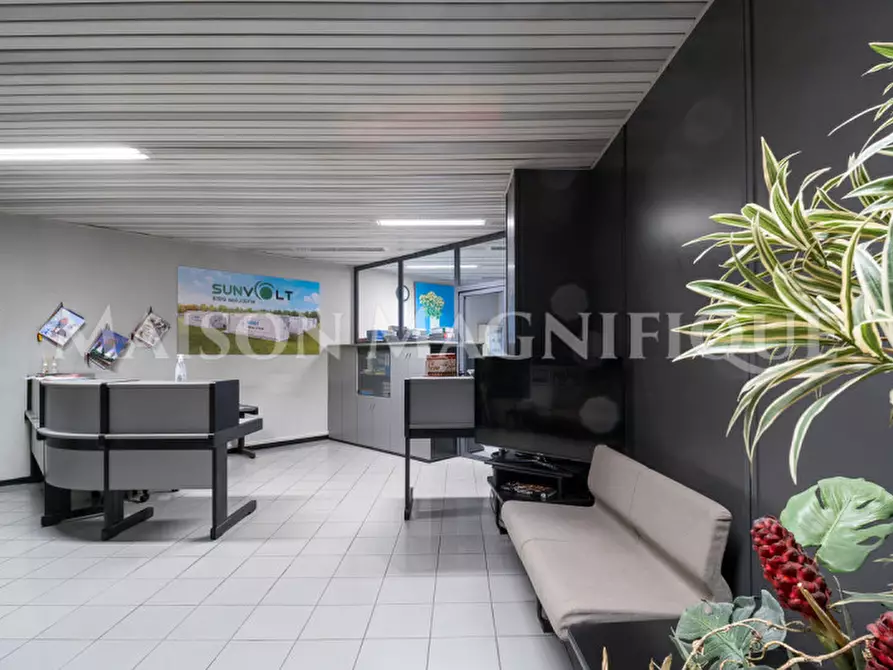 Immagine 18 di Ufficio in vendita  in Via Eridania a Occhiobello