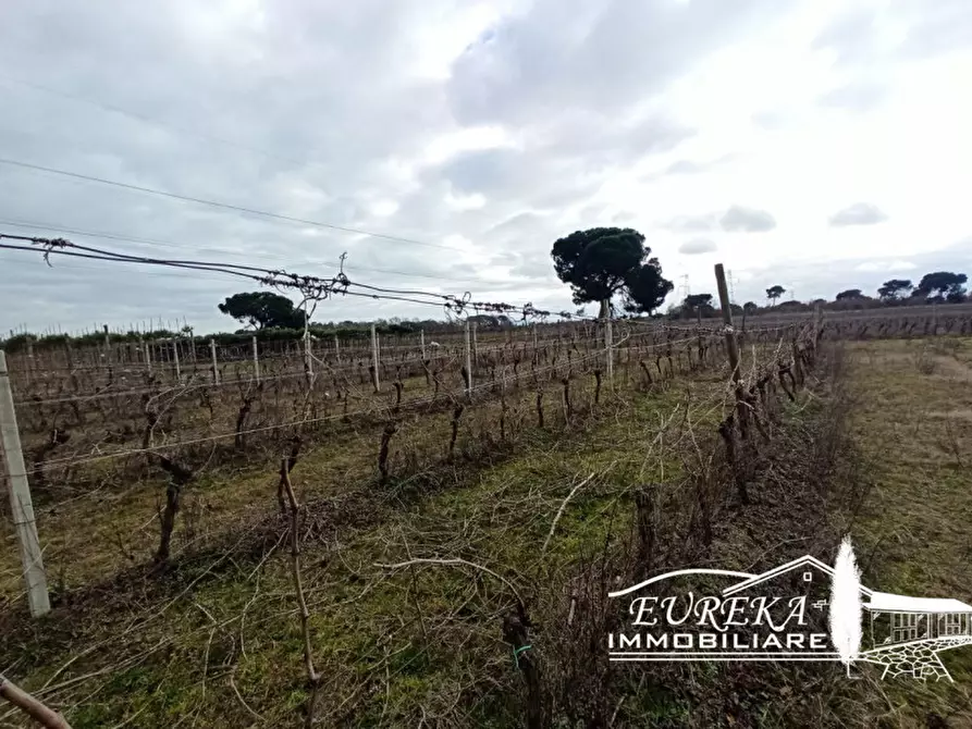 Immagine 1 di Terreno in vendita  in Via Bertoni a Castiglione Del Lago