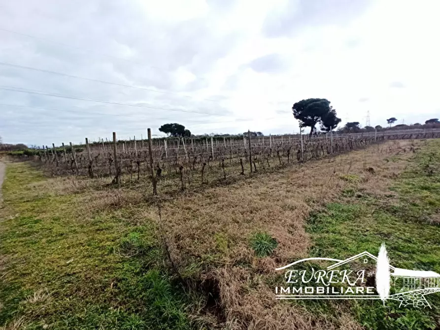 Immagine 4 di Terreno in vendita  in Via Bertoni a Castiglione Del Lago