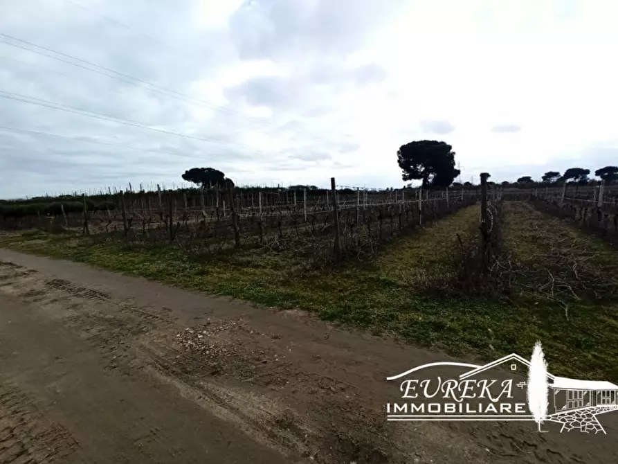 Immagine 7 di Terreno in vendita  in Via Bertoni a Castiglione Del Lago