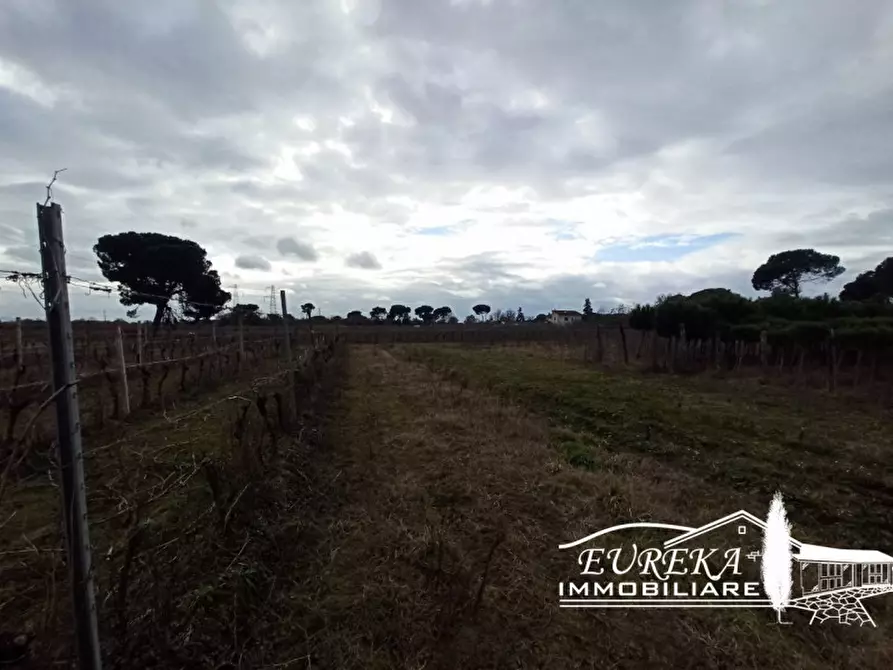 Immagine 9 di Terreno in vendita  in Via Bertoni a Castiglione Del Lago