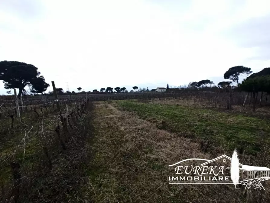 Immagine 10 di Terreno in vendita  in Via Bertoni a Castiglione Del Lago