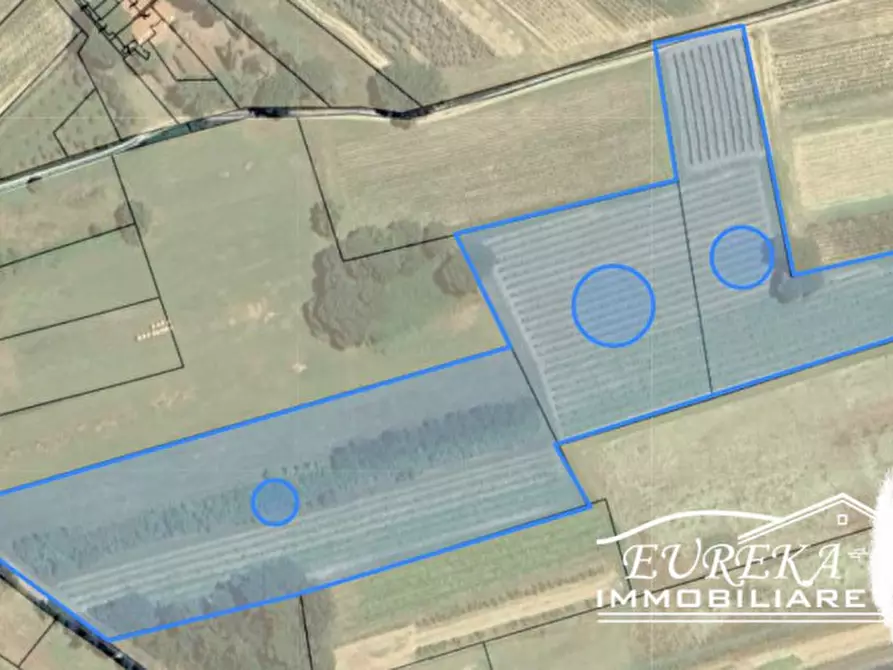 Immagine 11 di Terreno in vendita  in Via Bertoni a Castiglione Del Lago