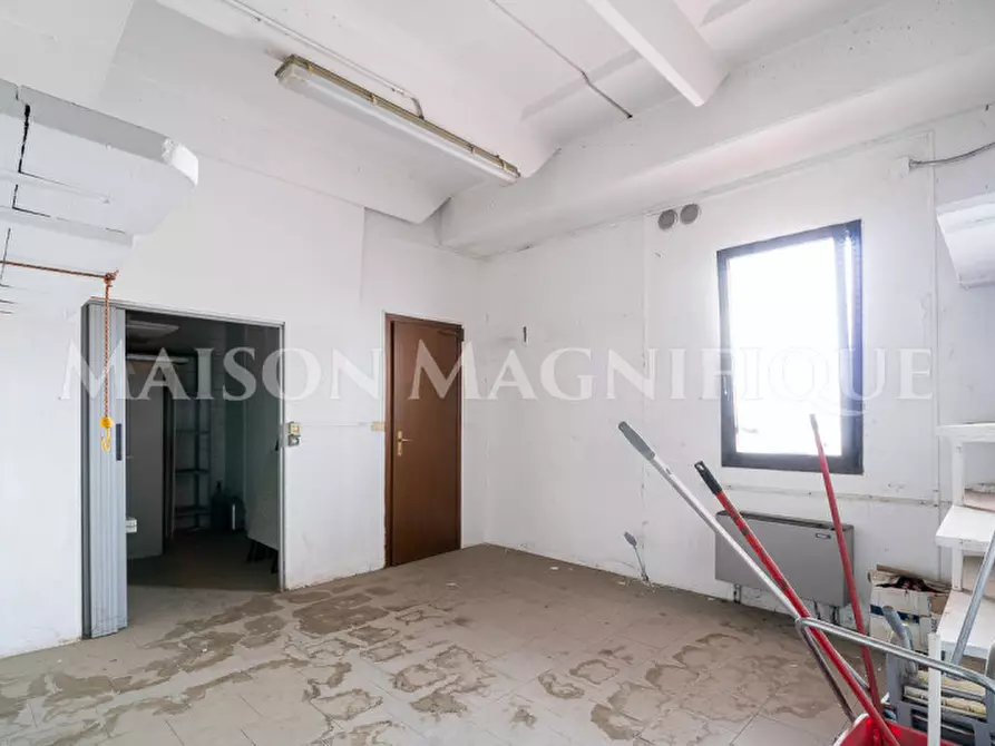 Immagine 8 di Ufficio in vendita  in Via Eridania a Occhiobello