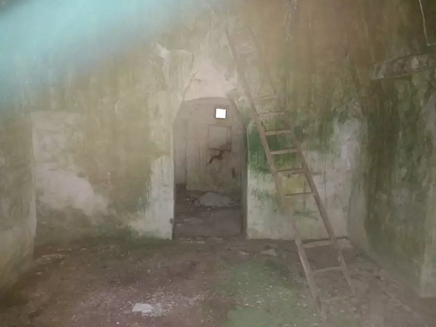 Immagine 6 di Rustico / casale in vendita  in C.da Natalicchio a Ceglie Messapico