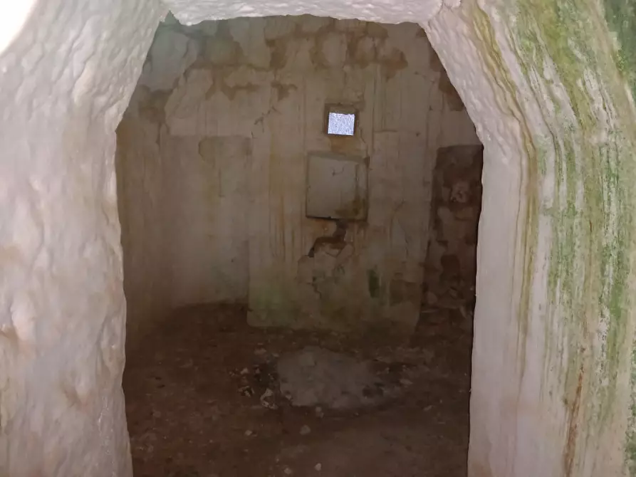 Immagine 9 di Rustico / casale in vendita  in C.da Natalicchio a Ceglie Messapico