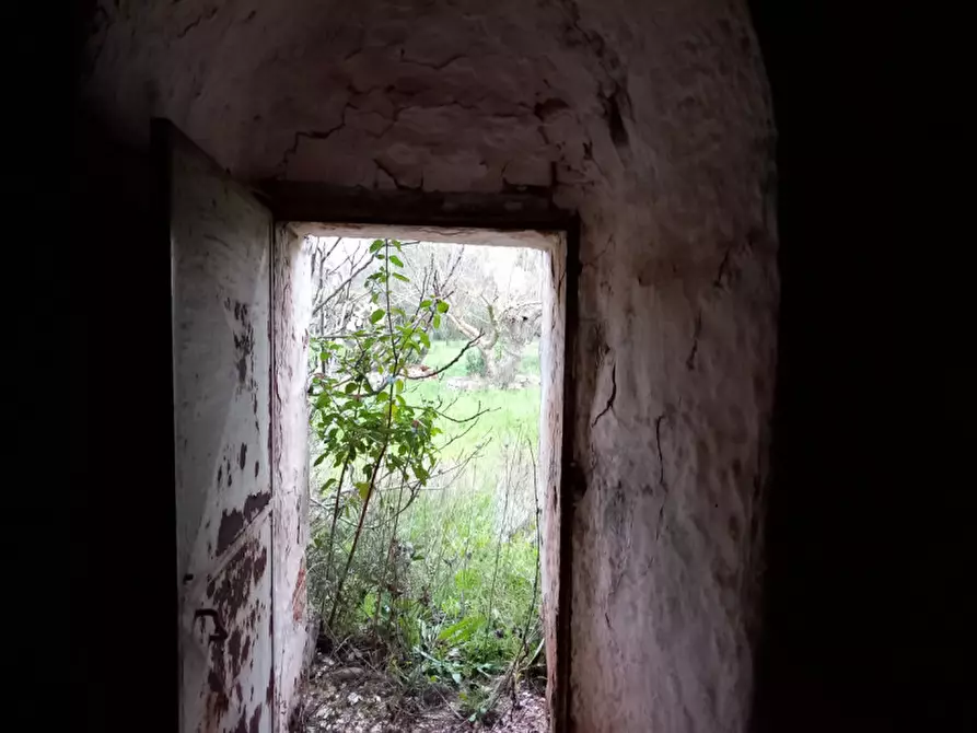 Immagine 10 di Rustico / casale in vendita  in C.da Natalicchio a Ceglie Messapico