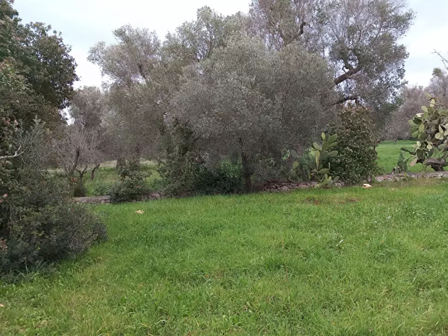 Immagine 12 di Rustico / casale in vendita  in C.da Natalicchio a Ceglie Messapico