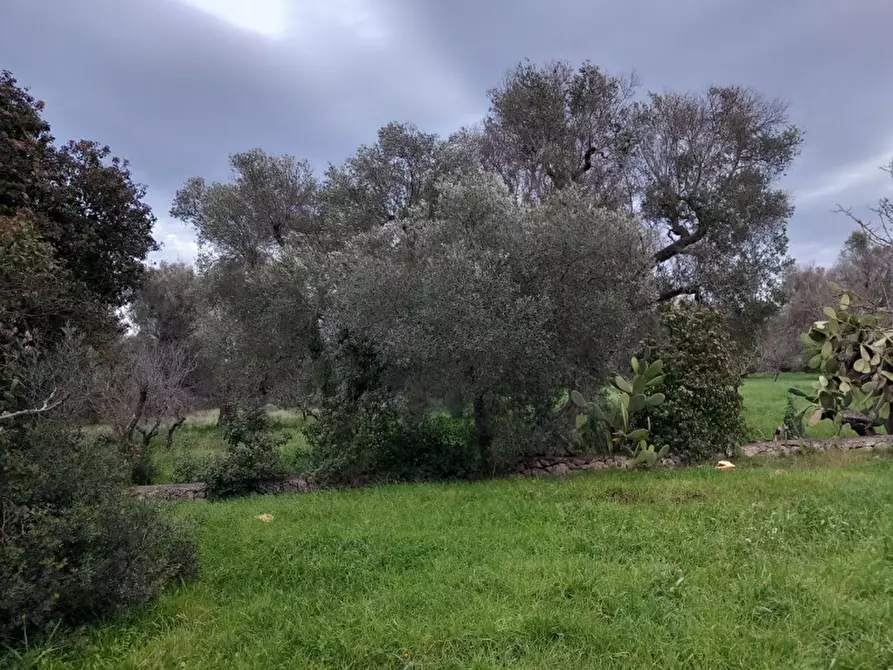 Immagine 13 di Rustico / casale in vendita  in C.da Natalicchio a Ceglie Messapico