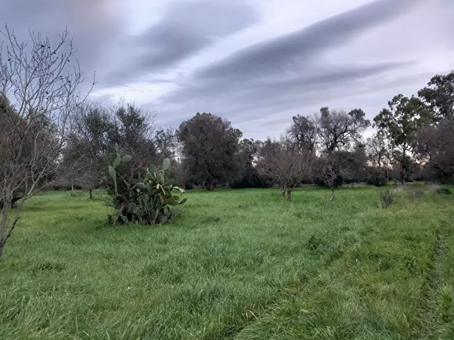Immagine 18 di Rustico / casale in vendita  in C.da Natalicchio a Ceglie Messapico