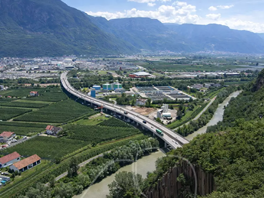 Immagine 5 di Capannone industriale in affitto  a Lana .Lana.