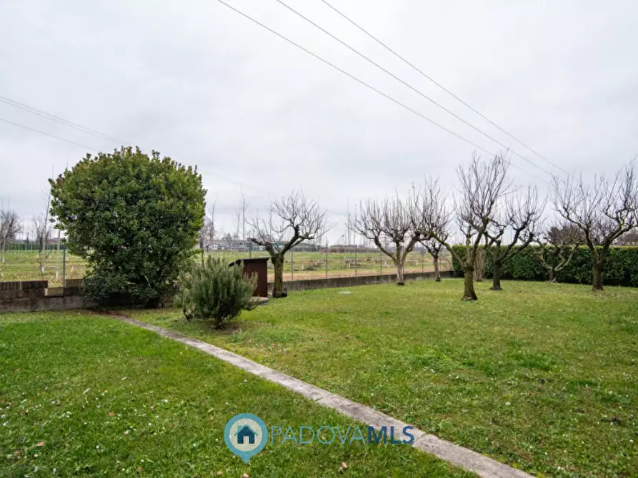 Immagine 33 di Villa in vendita  in Via Gabriele D'Annunzio a Due Carrare