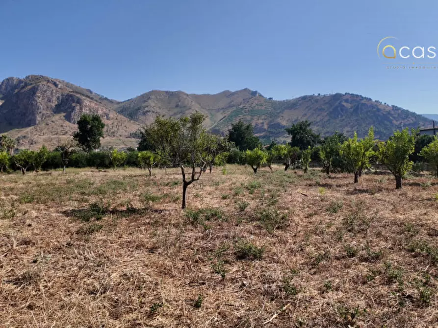 Immagine 2 di Terreno in vendita  in Via Agnetta 111 a Palermo