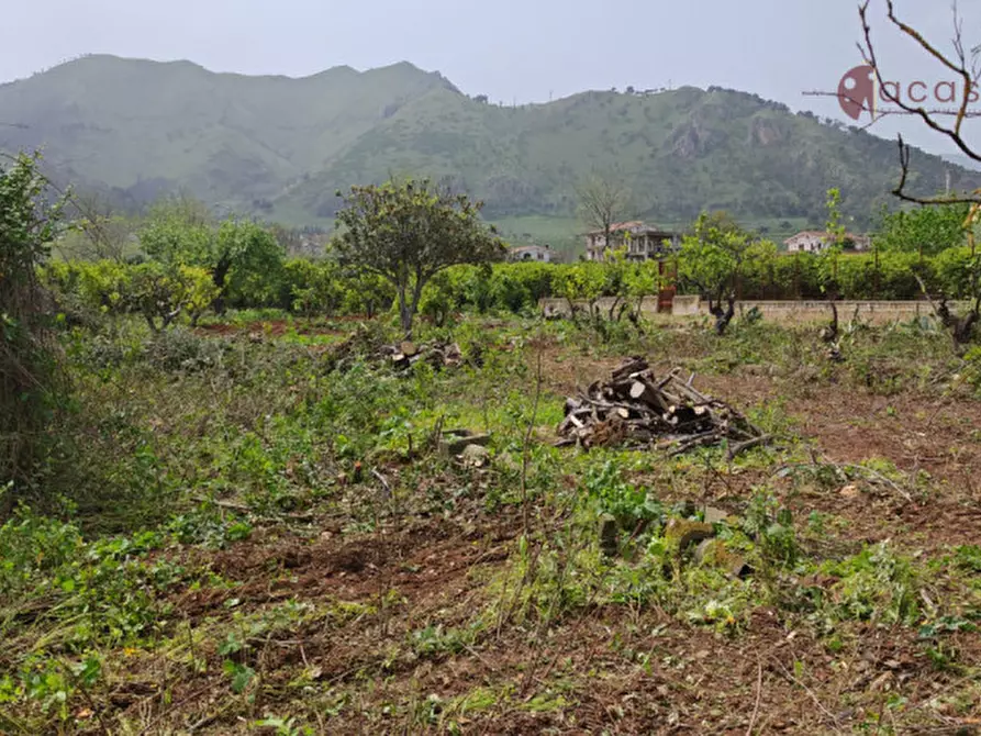 Immagine 3 di Terreno in vendita  in Via Agnetta 111 a Palermo