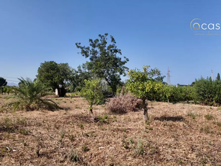 Immagine 4 di Terreno in vendita  in Via Agnetta 111 a Palermo