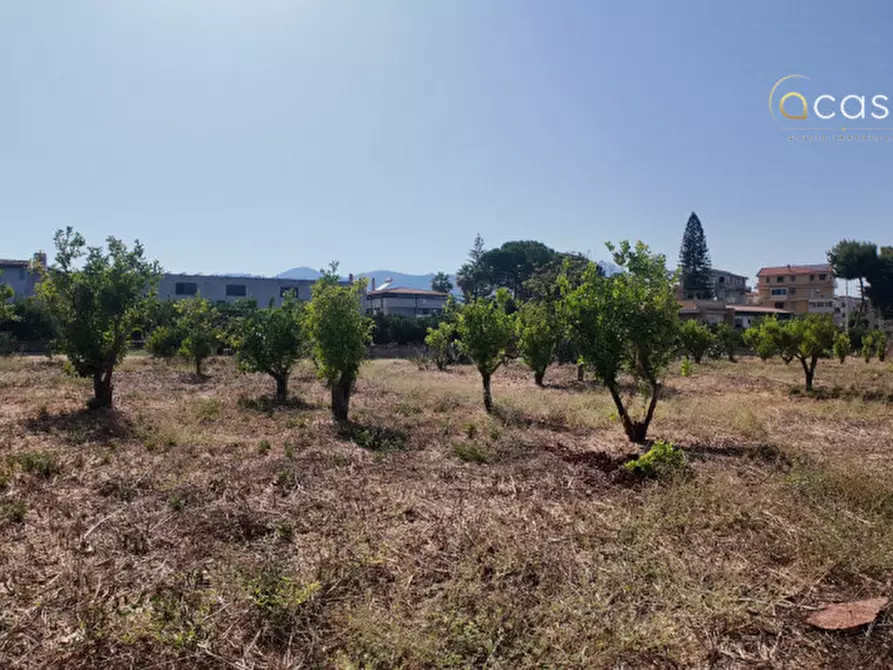 Immagine 5 di Terreno in vendita  in Via Agnetta 111 a Palermo