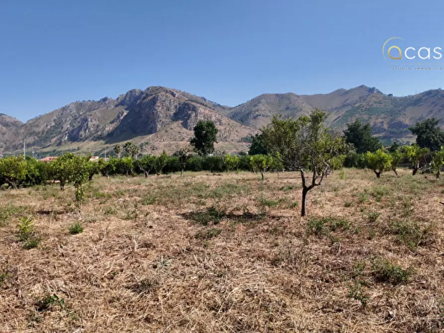 Immagine 6 di Terreno in vendita  in Via Agnetta 111 a Palermo