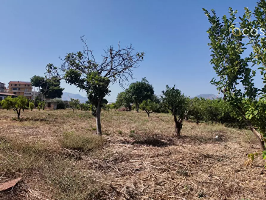 Immagine 7 di Terreno in vendita  in Via Agnetta 111 a Palermo