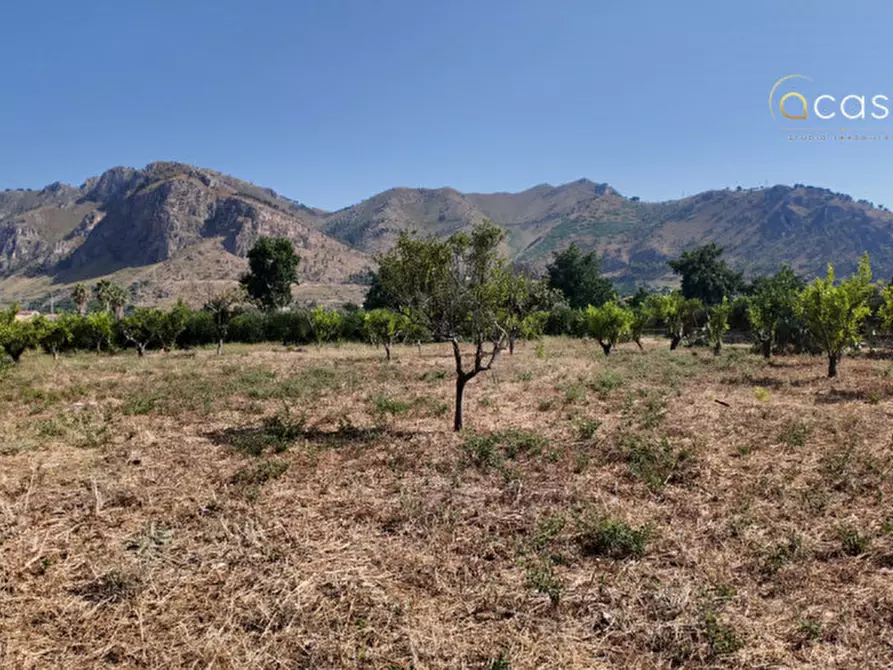 Immagine 16 di Terreno in vendita  in Via Agnetta 111 a Palermo