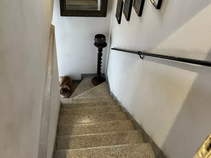 Immagine 6 di Casa indipendente in vendita  in Via Guido Reni a Padova