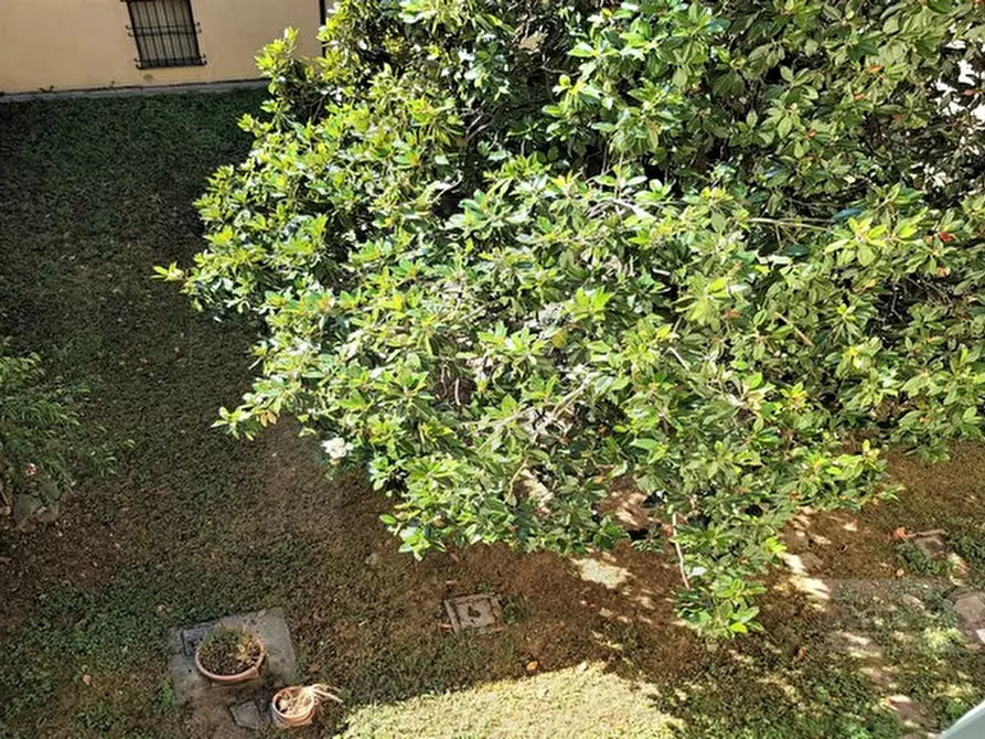 Immagine 12 di Appartamento in affitto  a Brisighella