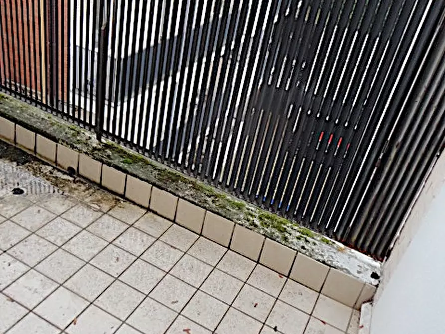 Immagine 13 di Appartamento in affitto  in Specola a Padova