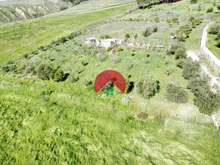 Immagine 2 di Terreno in vendita  in c.da scatolino a Matera