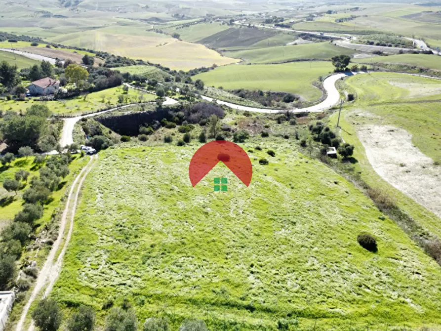 Immagine 7 di Terreno in vendita  in c.da scatolino a Matera