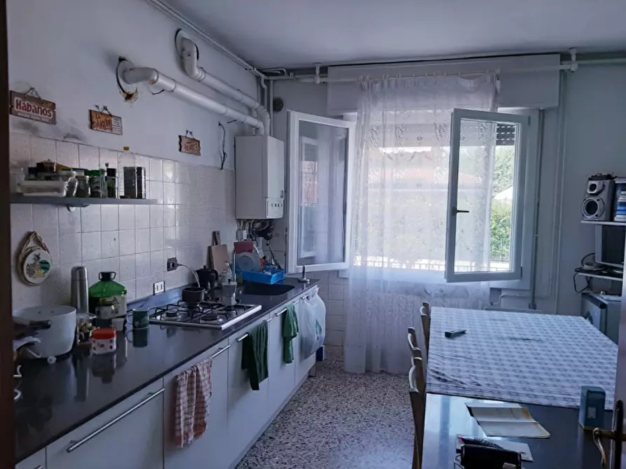 Immagine 10 di Camera in affitto  a Legnaro