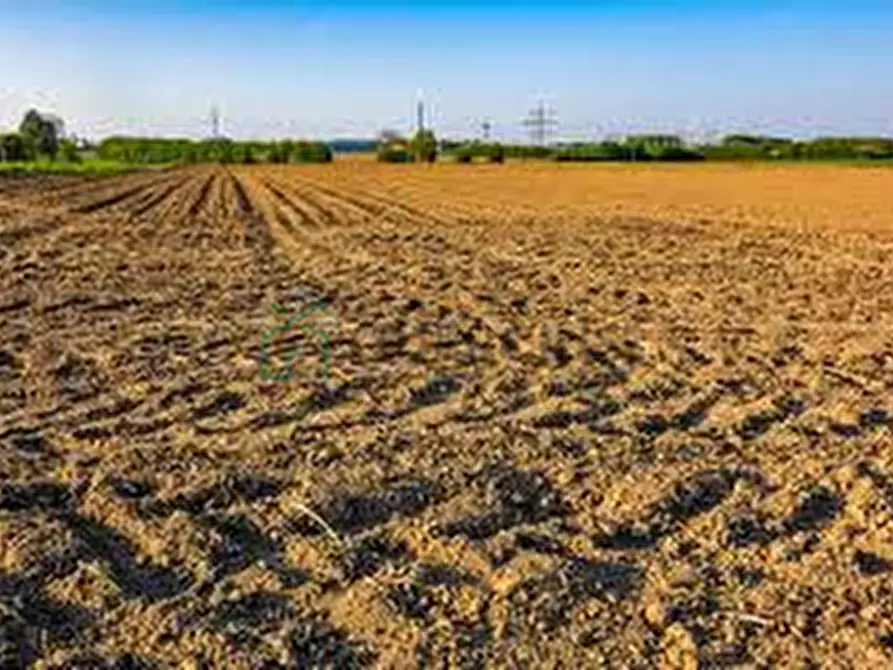 Immagine 3 di Terreno in vendita  in via gioacchino rossini a Eraclea