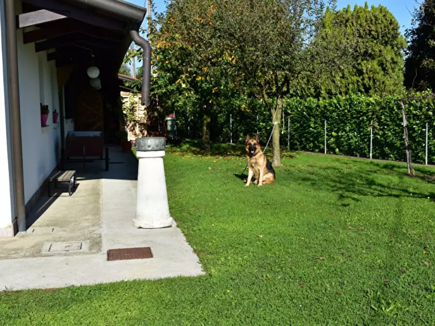 Immagine 36 di Villa in vendita  in VIA MONTE GRAPPA a Masera' Di Padova