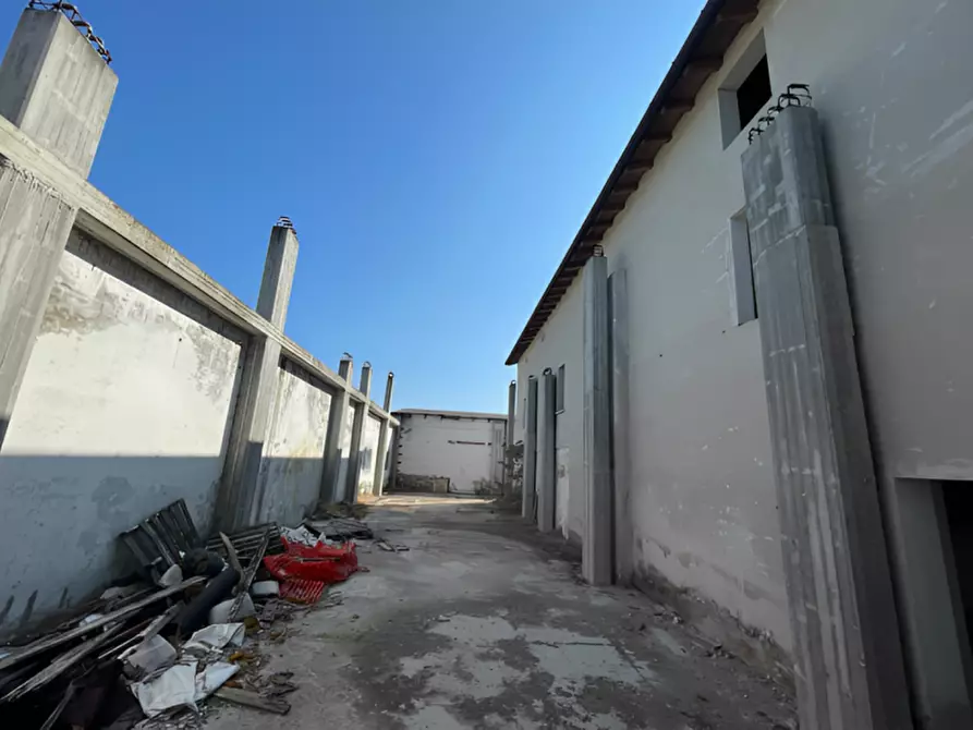 Immagine 4 di Appartamento in vendita  in Via Concordia a Cavezzo