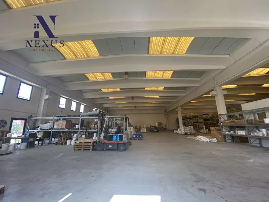 Immagine 2 di Capannone industriale in affitto  a Trecastelli