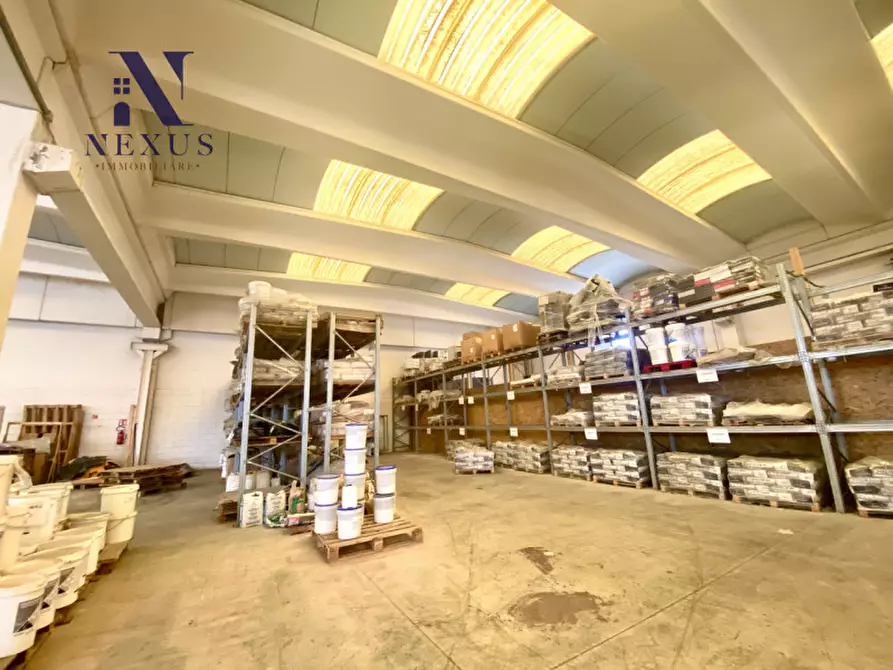 Immagine 3 di Capannone industriale in affitto  a Trecastelli