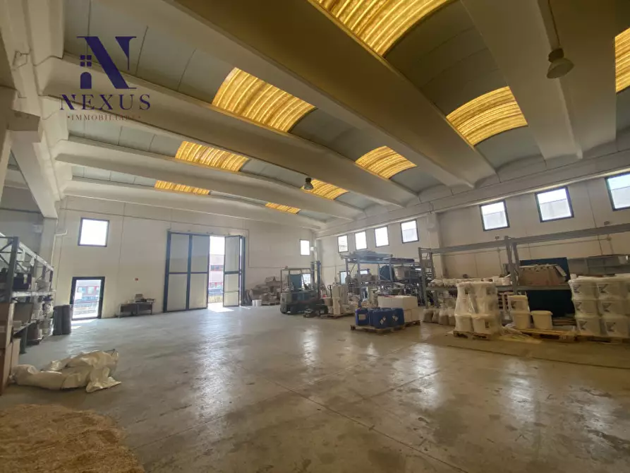 Immagine 4 di Capannone industriale in affitto  a Trecastelli