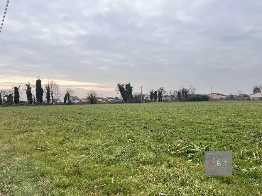 Immagine 1 di Terreno in vendita  a San Martino Di Lupari