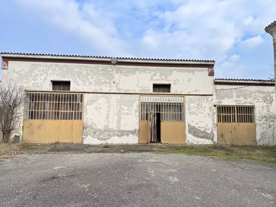 Immagine 11 di Casa indipendente in vendita  in Via Quattro Novembre a Solesino