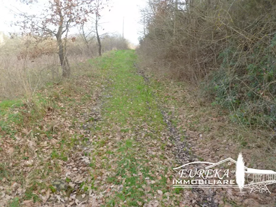 Immagine 6 di Casa indipendente in vendita  in casaltondo a Città Della Pieve