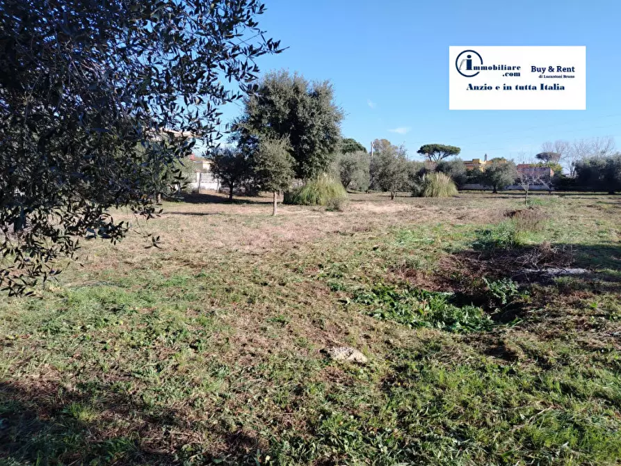 Immagine 1 di Terreno in vendita  in VIA AMILCARE CIPRIANI a Anzio