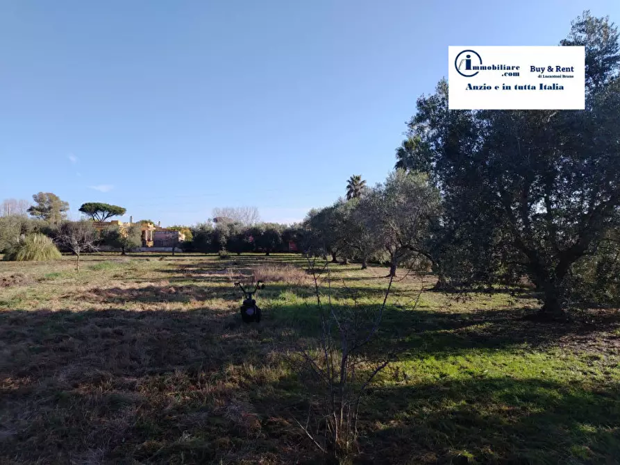 Immagine 2 di Terreno in vendita  in VIA AMILCARE CIPRIANI a Anzio